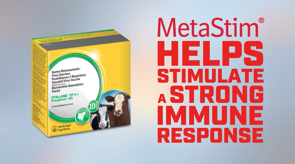 Pyramid® FP5 + Presponse® vaccine | Boehringer Ingelheim